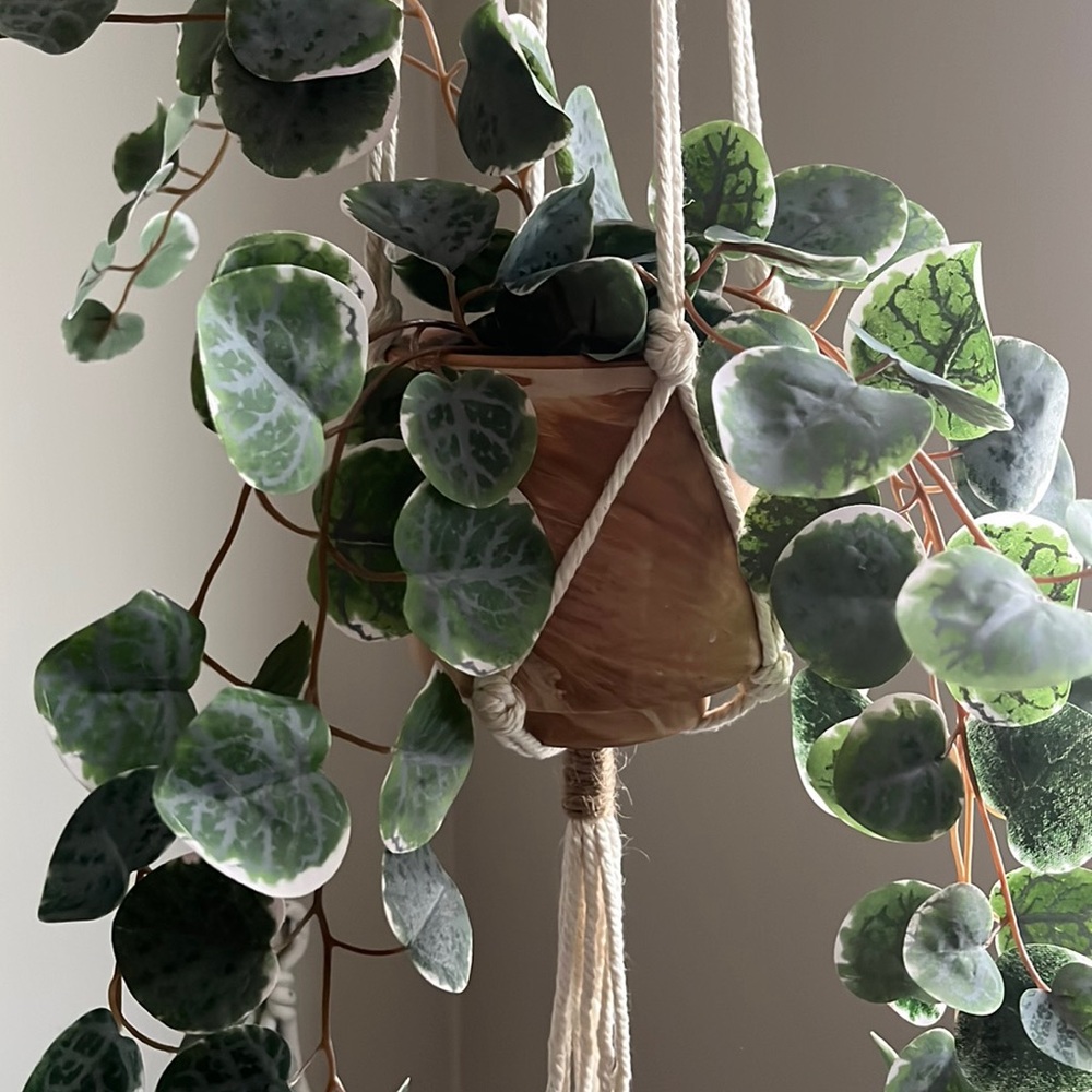 New Handmade Macramé Plant Hanger - Picture 3 of 6